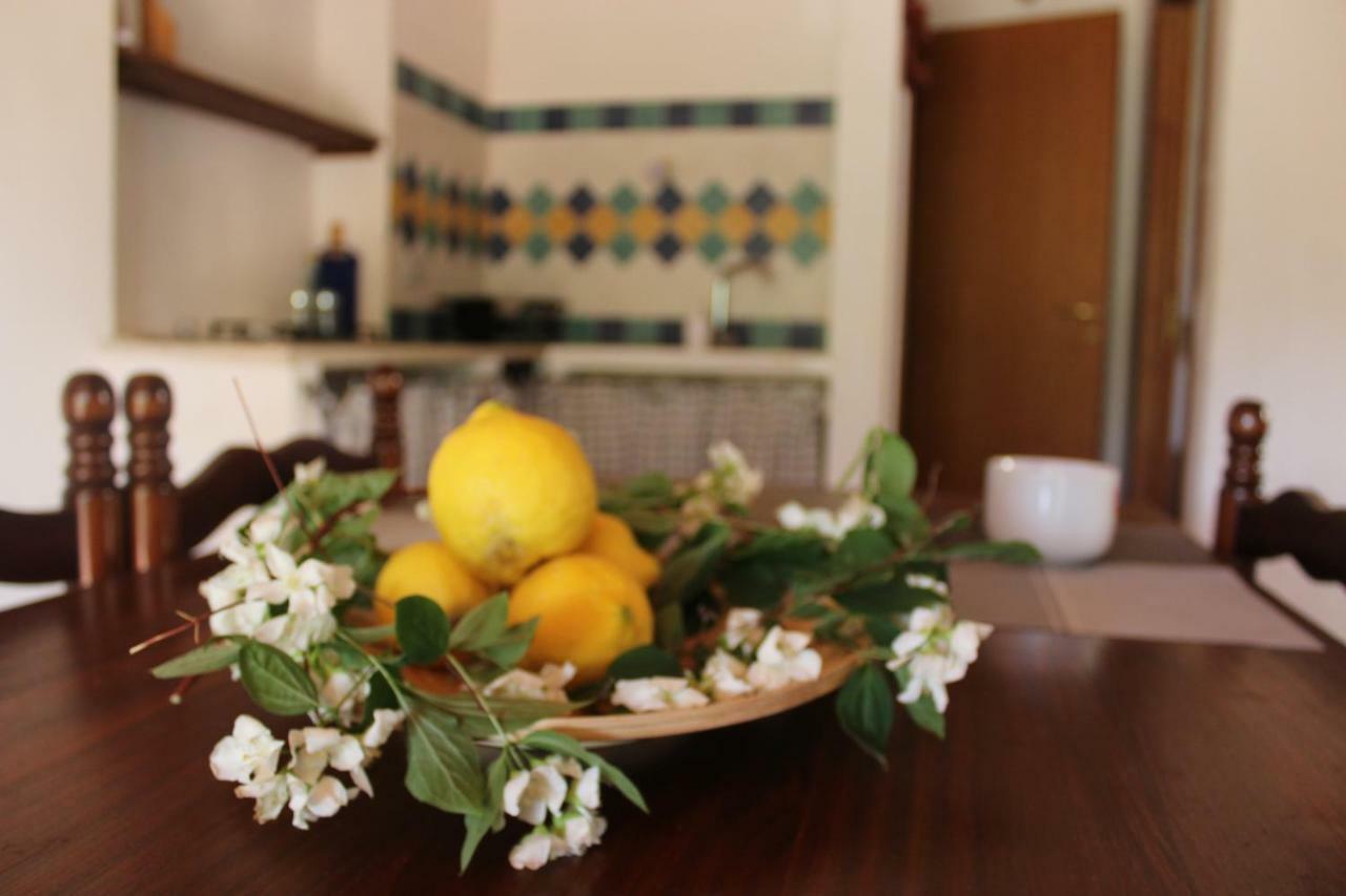 Rustici L'Antico Torchio Villa Castellammare del Golfo Dış mekan fotoğraf