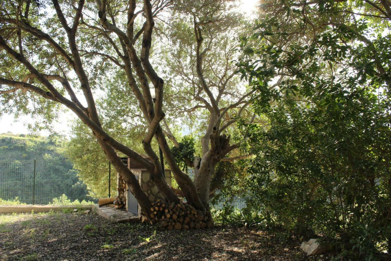 Rustici L'Antico Torchio Villa Castellammare del Golfo Dış mekan fotoğraf